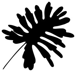 Monstera Tropical Leaf Silhouette Palm Vector Illustration