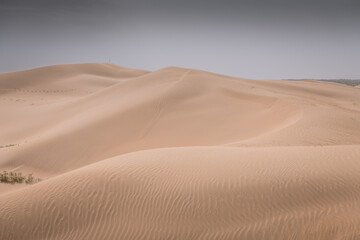 Fototapeta na wymiar Beautiful untouched sand dunes in Inner Mongolia, China