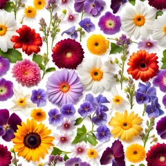  Square image view of scattered pansy gerbera carnation poppy sunflower and periwinkle flowers © Spring of Sheba