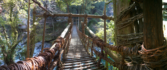 Walking on Kazurabashi rope bridge on Shikoku, Japan © Eugene