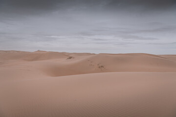 Fototapeta na wymiar The Gobi desert landscape with the massive dunes and people far away