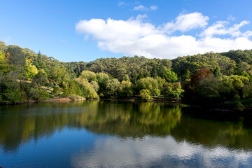 Large lake surrounded by trees and green foliage in the Mount Lofty Botanical Gardens in Australia.