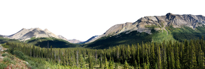 Panoramic view of a rocky mountain range with an evergreen forest in the foreground. The sky is...