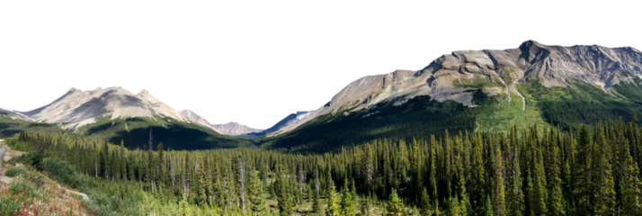 Panoramic view of a rocky mountain range with an evergreen forest in the foreground. The sky is transparent.
