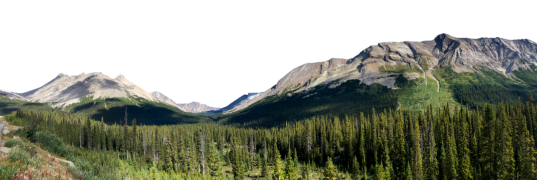 Panoramic view of a rocky mountain range with an evergreen forest in the foreground. The sky is transparent.
