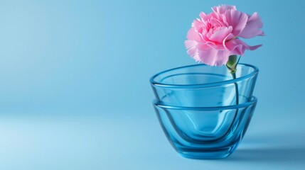 Pink flower in blue vase on blue background