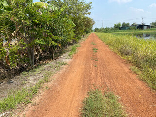Obraz premium road in the countryside