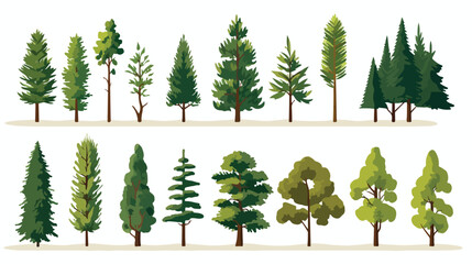 Coniferous vector tree collection - Set of various - obrazy, fototapety, plakaty