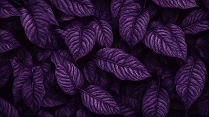 Dark violet pattern foliage pattern texture