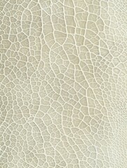 Textured surface with a network of fine cracks - The image captures a complex network of fine cracks creating an intricate and detailed texture on a surface