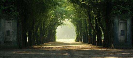 A rustic gate stands at the end of a path flanked by lush trees, creating a serene and inviting scene - obrazy, fototapety, plakaty
