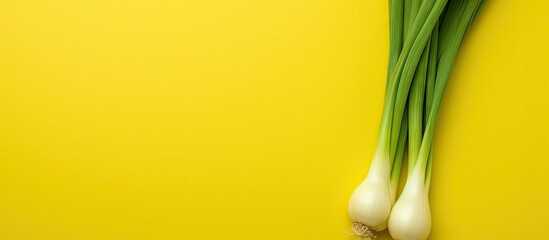 Fresh green onions, also known as scallions, arranged closely together on a vibrant yellow background