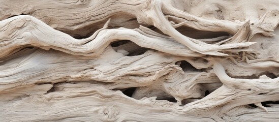 Close-up view of textured driftwood showcasing intricate wood grain pattern and natural beauty - obrazy, fototapety, plakaty