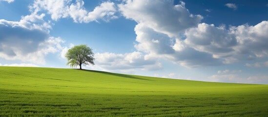 Lone tree standing on a sloping green hill against a serene blue sky - Powered by Adobe