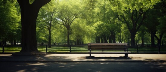 Bench under tree in tranquil park surrounded by greenery and nature
