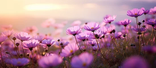 Foto op Plexiglas Field of purple flowers under a colorful sunset sky, creating a beautiful natural scene © Ilgun