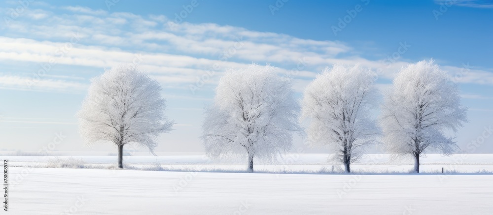 Sticker Snow-covered field with a row of trees standing tall in the winter landscape