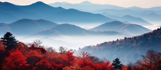 Picturesque view of thickly wooded mountains shrouded in mist in the distance - obrazy, fototapety, plakaty