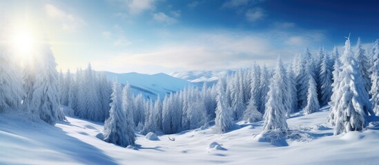 Mountain landscape featuring snowy trees in the foreground under the bright sun, creating a picturesque winter scene