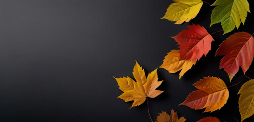 Autumn leaves on a black background Autumn background Top view.