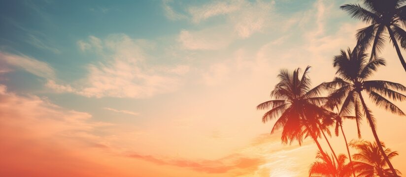 Silhouetted palm trees under a colorful sunset sky on a tranquil beach with gentle waves