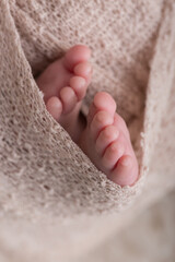 Little newborn baby feet portrait photography