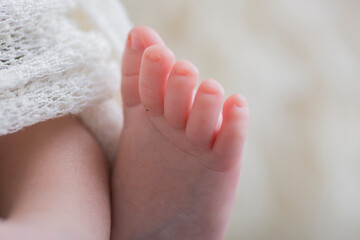 Little newborn baby feet portrait photography  