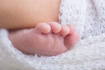 Little newborn baby feet portrait photography  