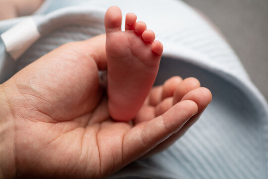 Little newborn baby feet portrait photography  