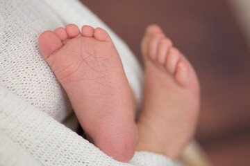 Little newborn baby feet portrait photography  