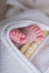 Little newborn baby feet portrait photography  