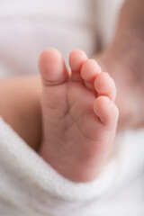 Little newborn baby feet portrait photography 