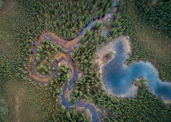 Creek and Pond from above