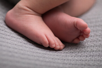 Little newborn baby feet portrait photography  