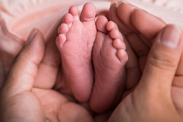 Little newborn baby feet portrait photography  