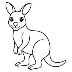 kangaroo cartoon illustration
