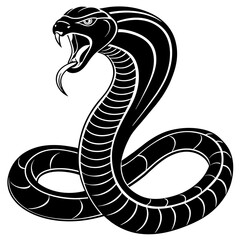 black and white snake