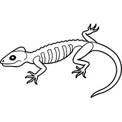 silhouette of a lizard