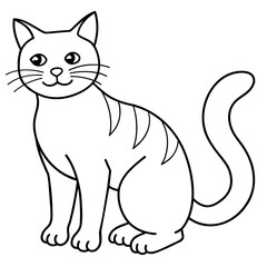 black and white cat