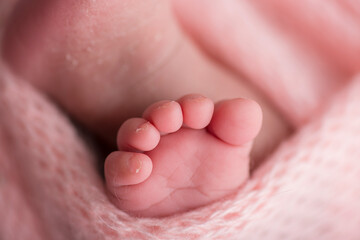 Little newborn baby feet portrait photography 