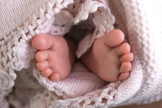 Little newborn baby feet portrait photography 