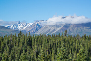 Kluane National Park, Yukon