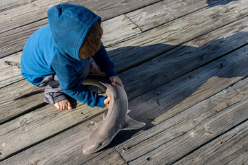 boy holding mud shark on ocean pier