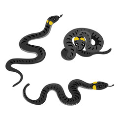 vector drawing ringed snakes isolated at white background, hand drawn illustration - obrazy, fototapety, plakaty