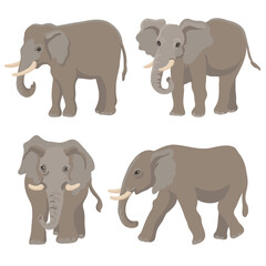 vector drawing elephants, cartoon animals isolated at white background, hand drawn illustration - 781019530