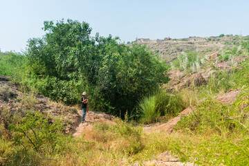 Jodhpur, Rajasthan, India - 18.10.2019 : Female solo Indian tourist at Rao Jodha Desert Rock Park. Near the historic Mehrangarh Fort , park contains ecologically restored desert, a tourist spot.