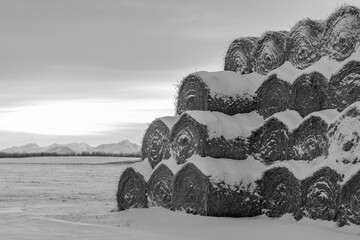 snow covered hay bails