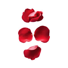 Rose petals in circle on Transparent Background