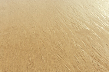 Golden Fine Sand texture natural surface at sunset, shining sunlight. Close up of sand on shore...