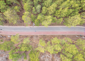 Aerial view of the road in the summer forest with green high pine or spruce trees.